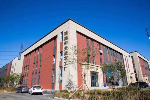 圓虎絕電插座 為工業(yè)用電安全保駕護航